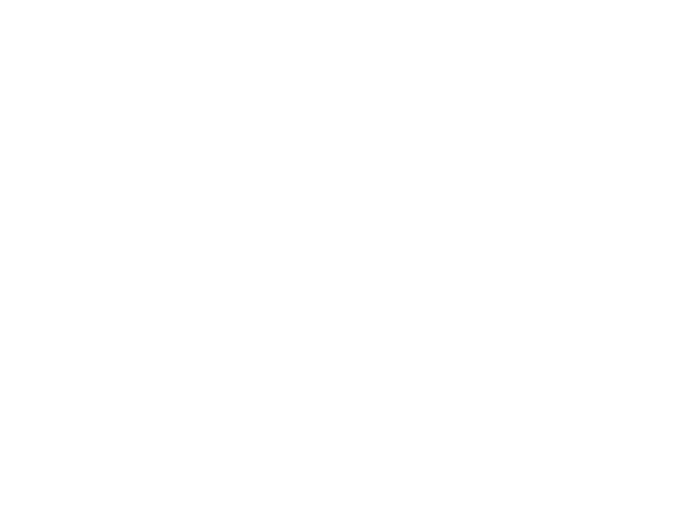 The Villas Logo
